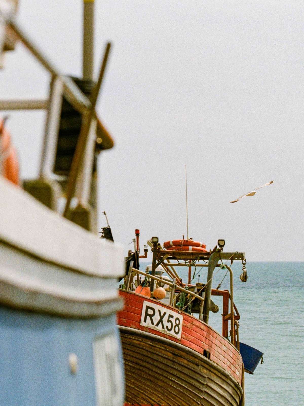 Front view of a grounded fishing boat with the registration number RX58, with a seagull flying in the background and the ocean beyond.