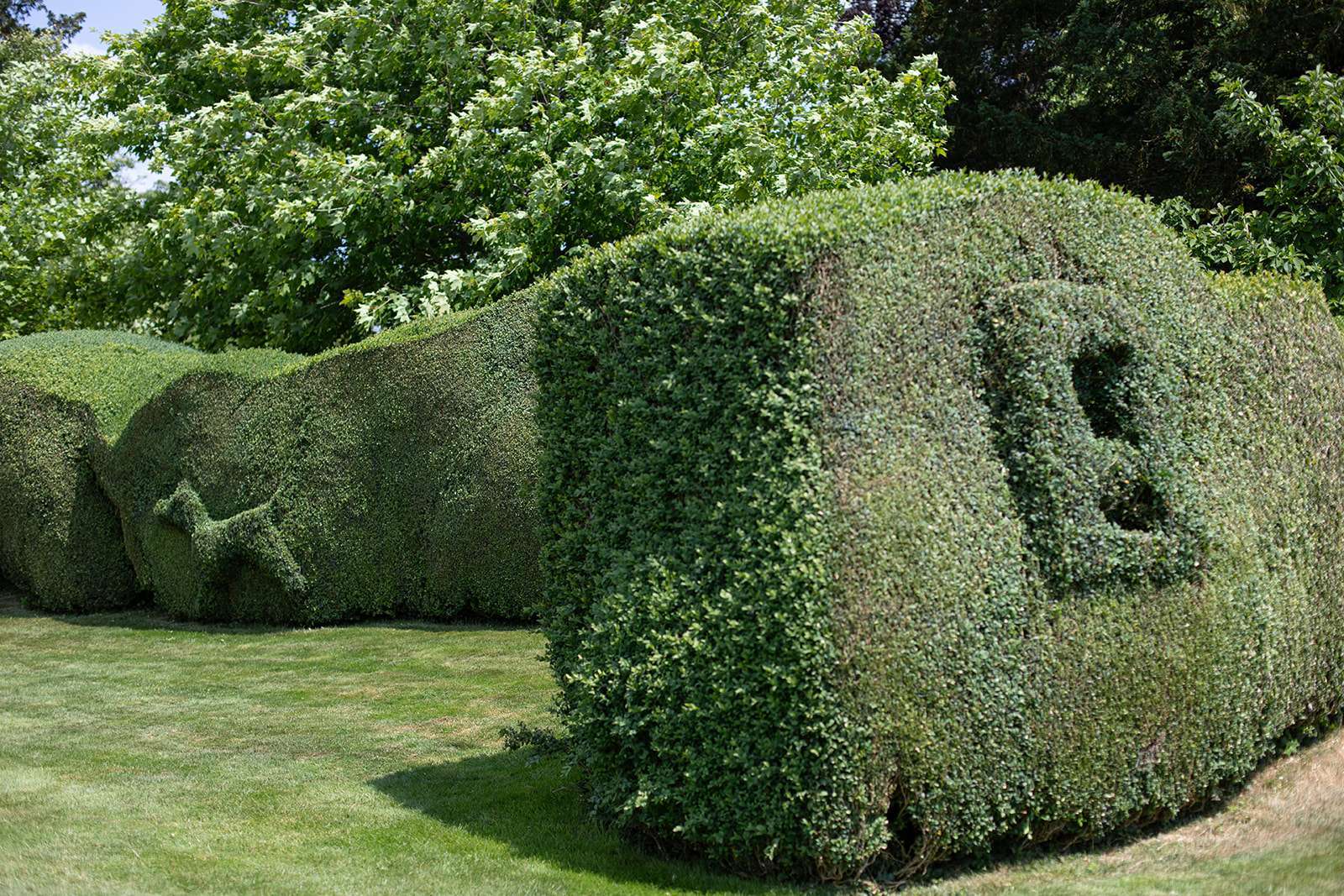 A lush green hedge creatively trimmed to include embedded geometric shapes and designs, set against a backdrop of trees and a clear sky.