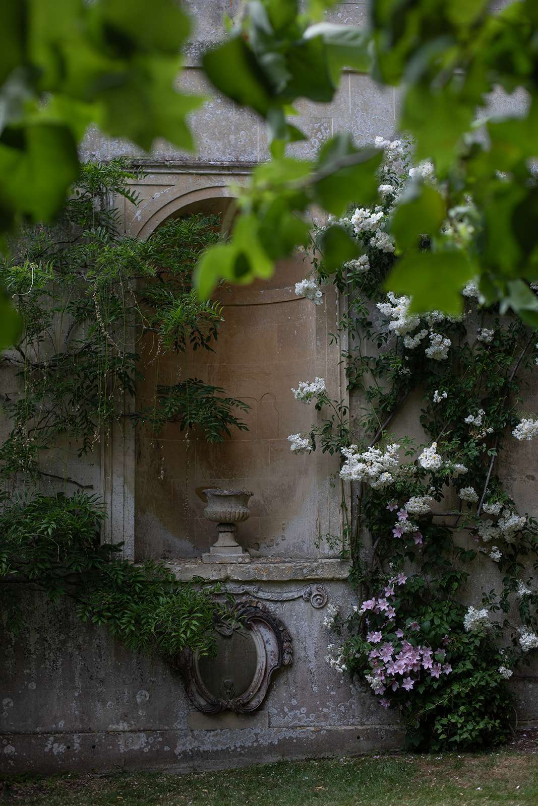 An old stone wall with an ornate fountain, partially obscured by blooming white flowers and green foliage.