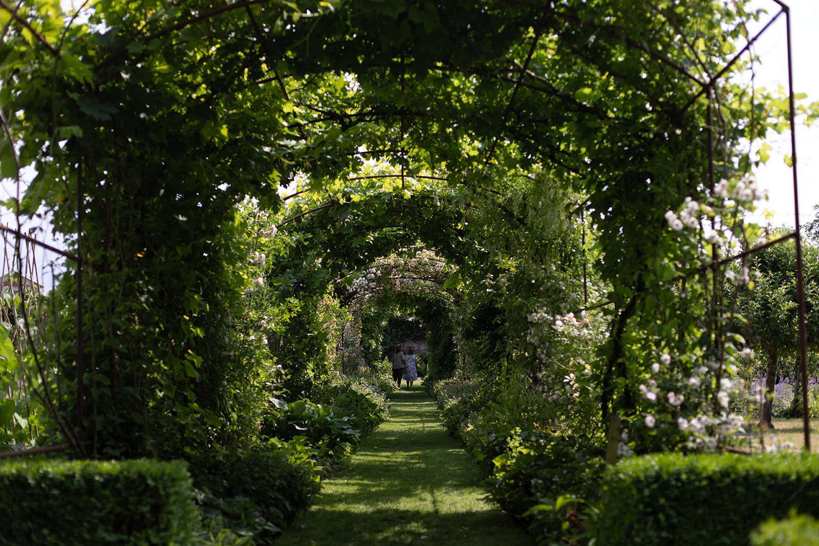 A beautiful lush garden pathway with green arches covered in foliage and flowers, with a couple walking in the distance.