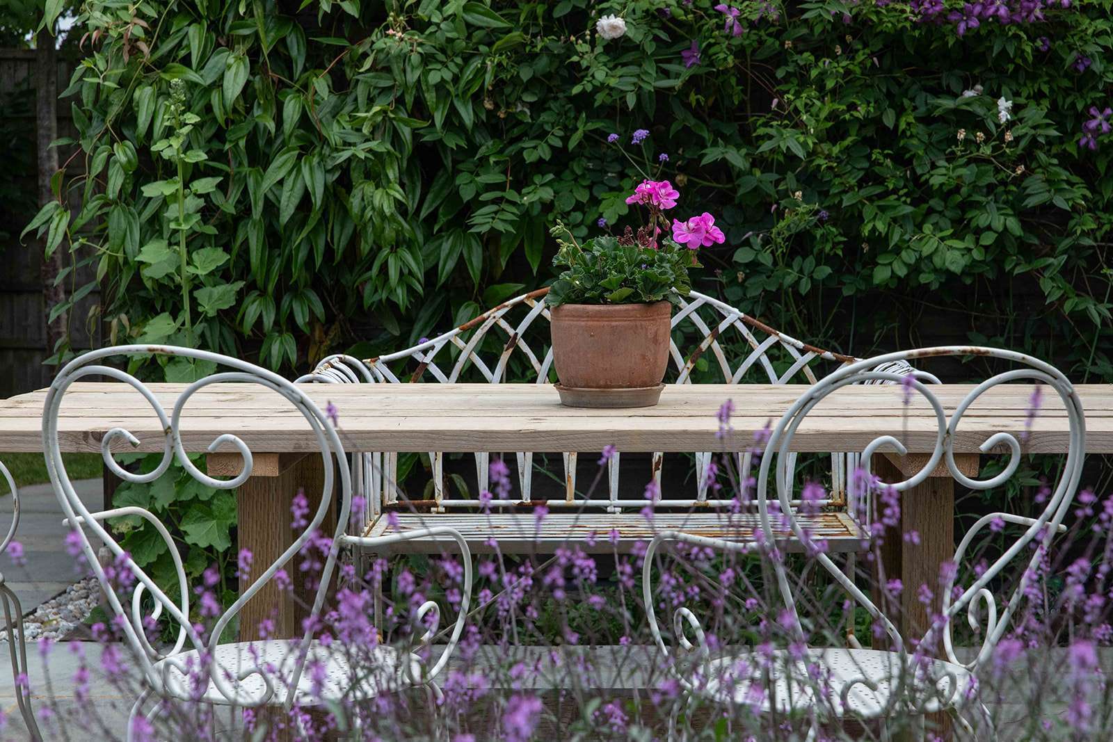 A serene garden setting with a wooden bench featuring ornate metal arms, and a terracotta pot with blooming pink flowers on top, surrounded by lush greenery and purple flowers in the foreground.