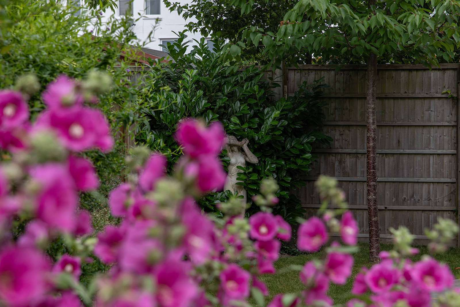 A garden statue seen peeking through vibrant pink flowers with lush green foliage in the background.