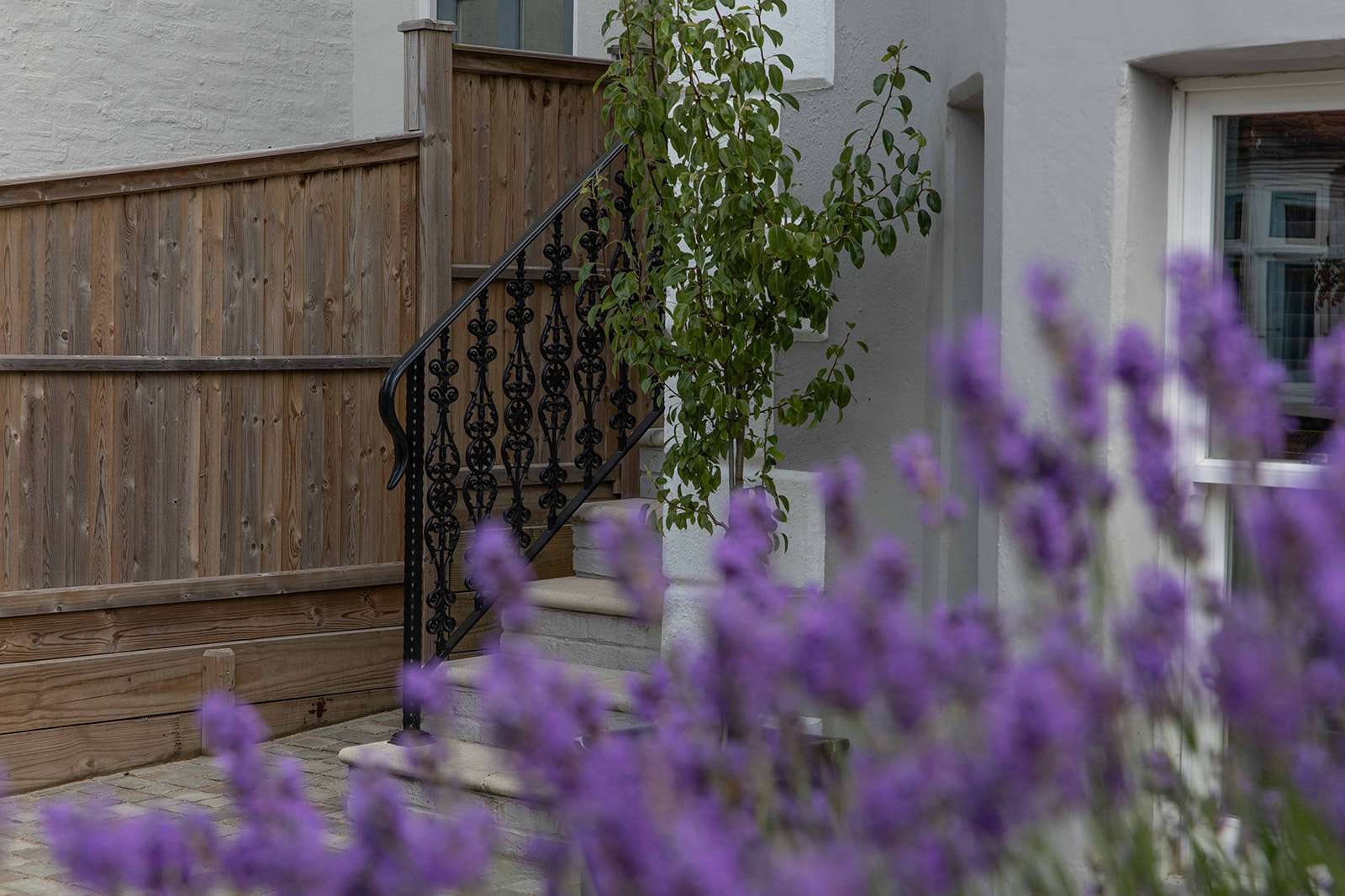 A serene outdoor scene featuring purple flowers in the foreground with a quaint wooden fence and an ornate metal staircase in the background.