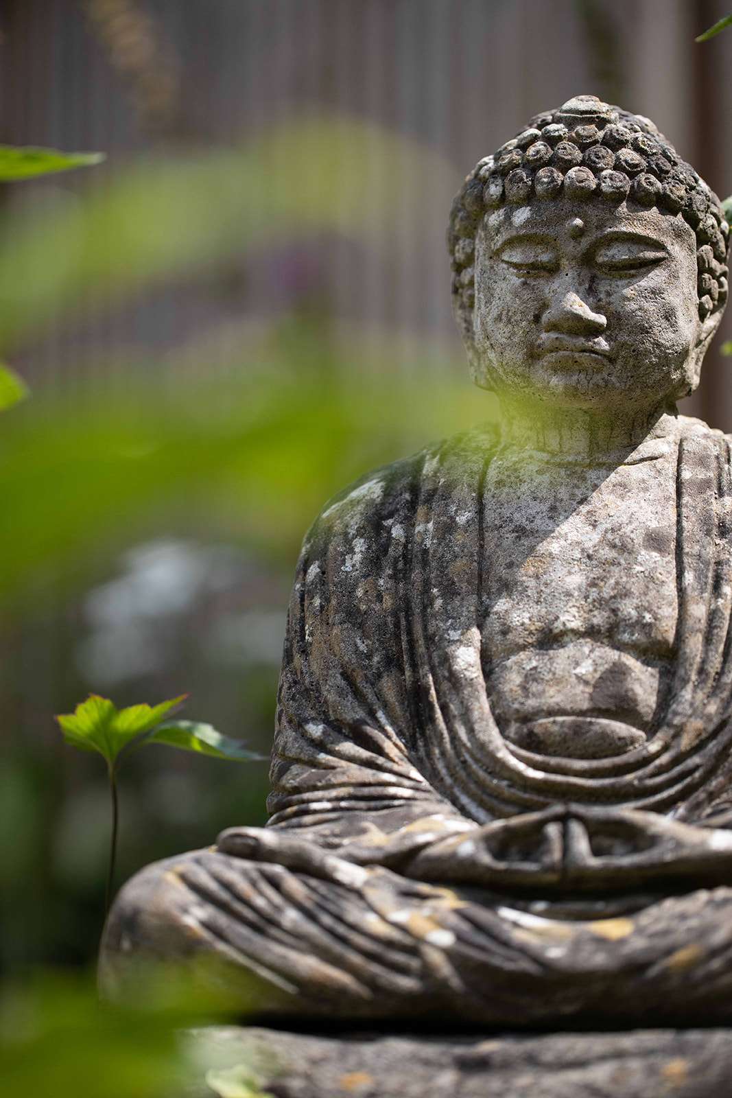 Close-up of a weathered stone Buddha statue with a focus on its face, set against a soft green backdrop.