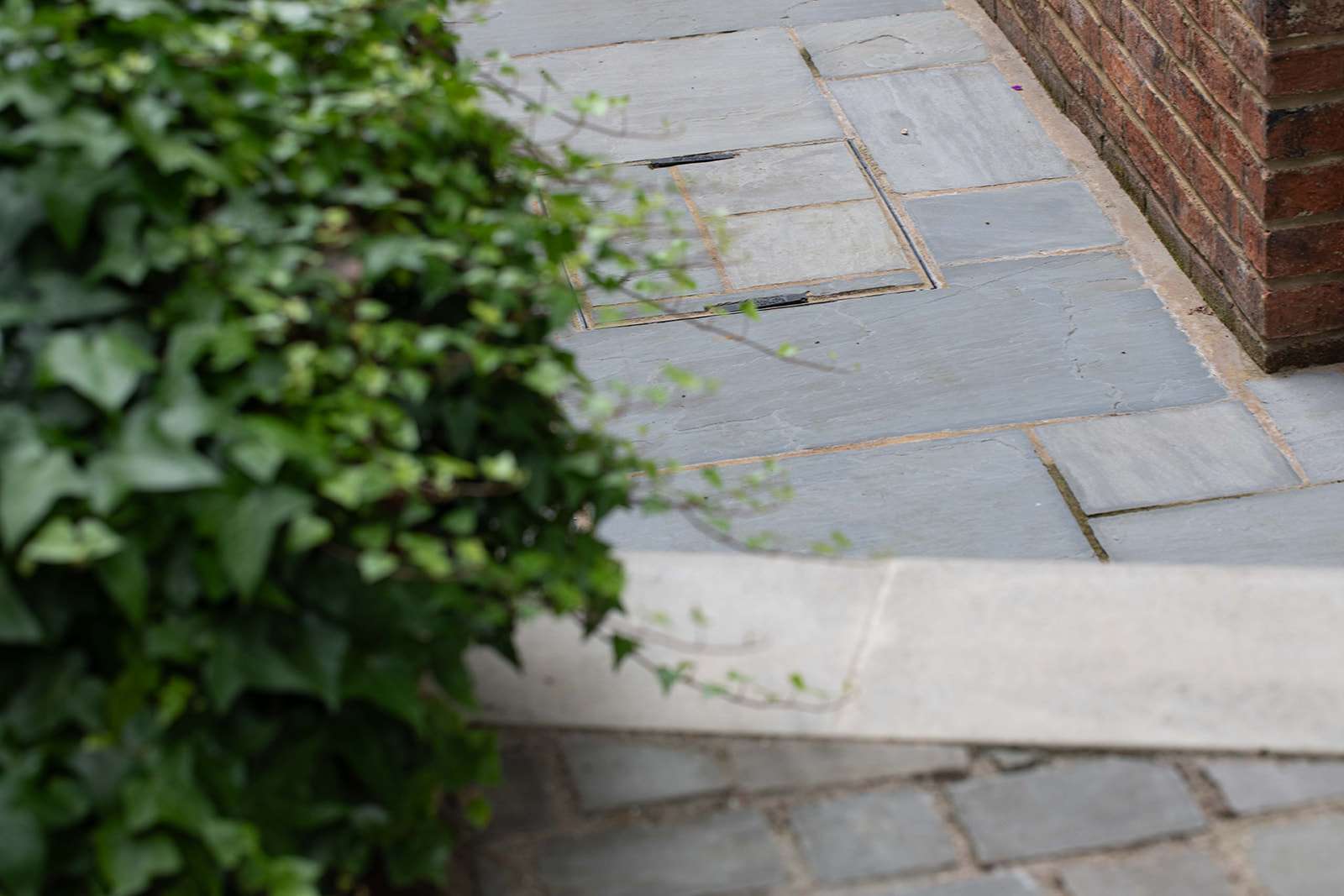 Selective focus image of a slate garden pathway with a blurred green ivy on the left side and brick edging.