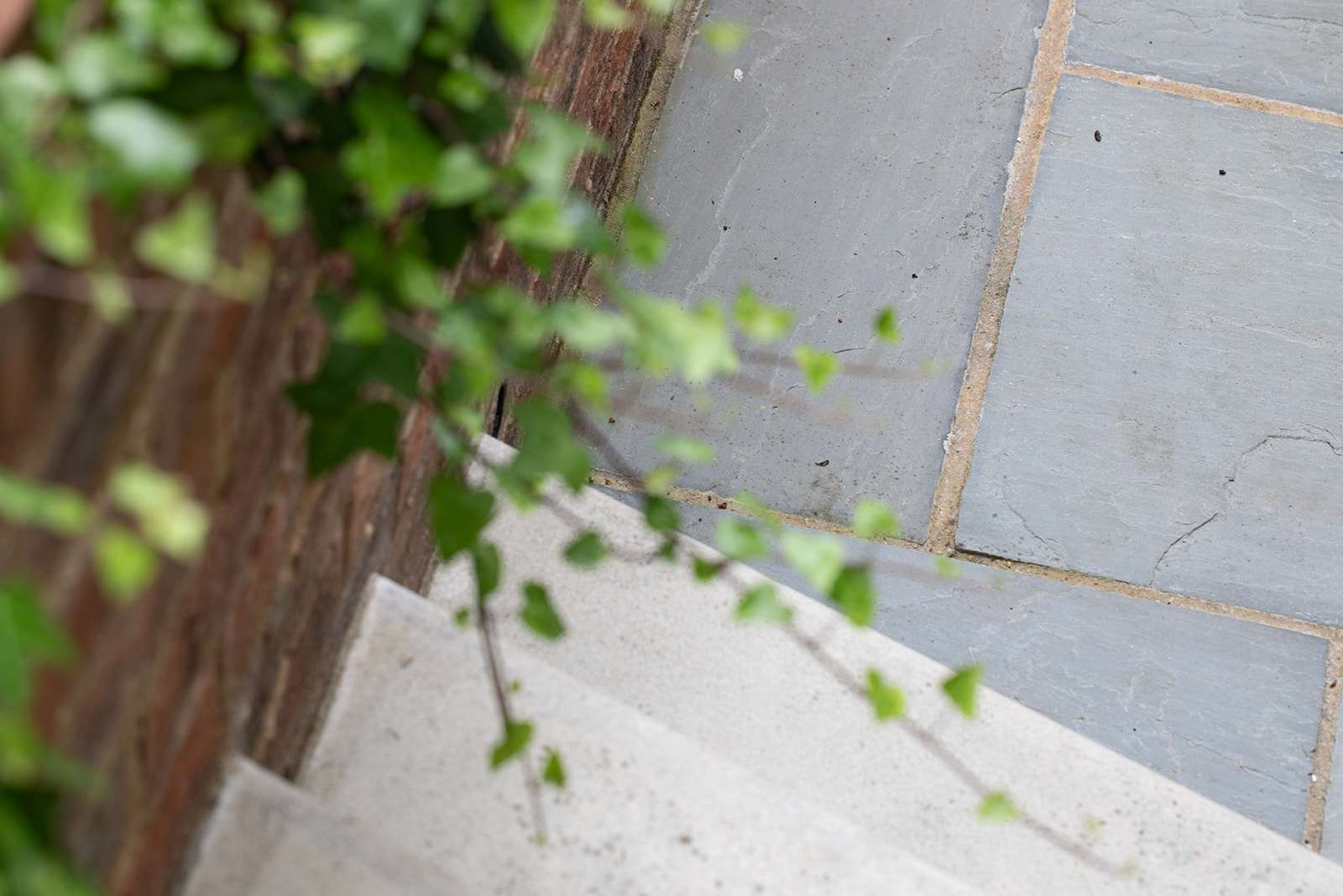 Selective focus image of garden steps with foliage in the foreground and out-of-focus leafy branches.