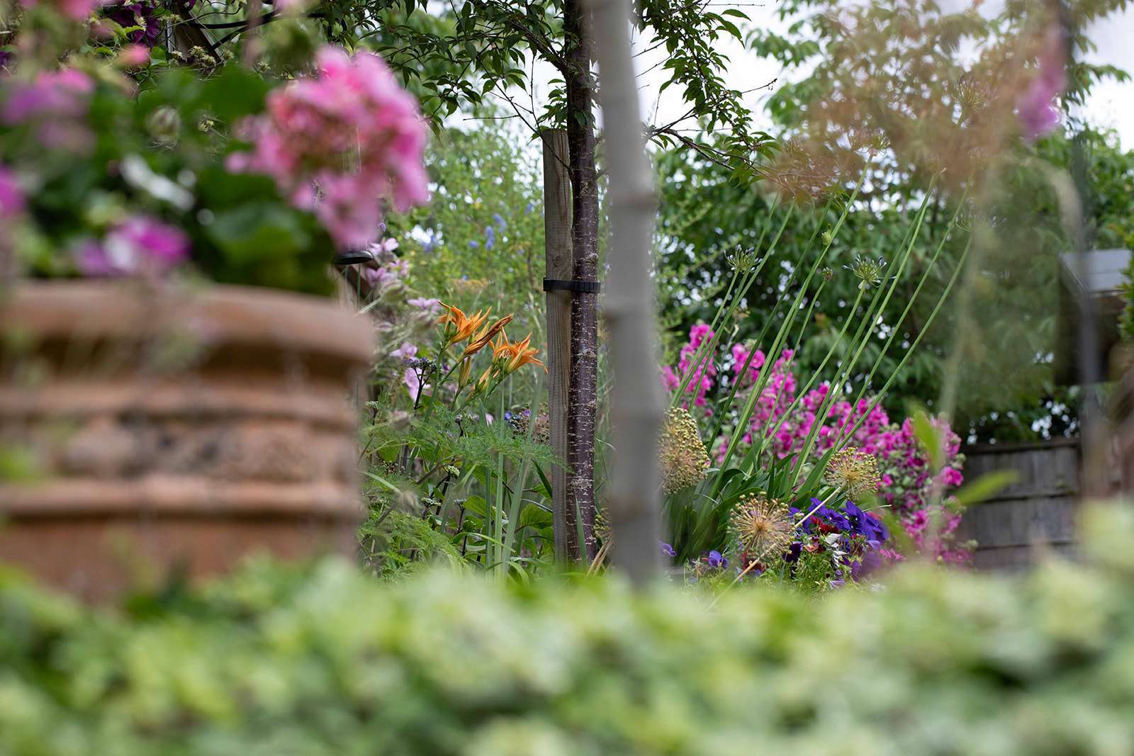 A vibrant garden scene with a variety of colorful flowers and green foliage, focusing on a bed of purple and orange blossoms with blurred foreground.