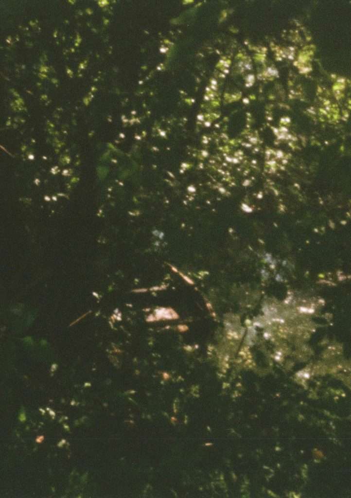 Test shots taken with the Alfie TYCH+ with Flic film Apollo 18 (400 shot at 200)
